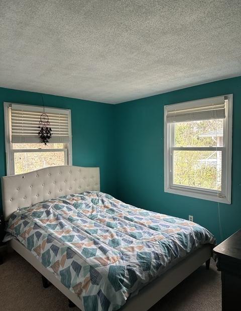 24 Emerson St, Springfield, MA 01118 photo 14