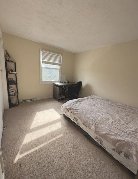 24 Emerson St, Springfield, MA 01118 photo 16