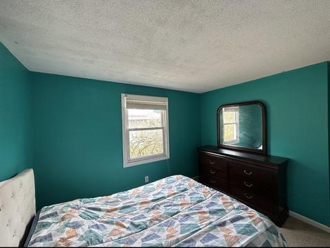 24 Emerson St, Springfield, MA 01118 photo 13