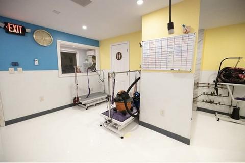 79 Bucknam St, Everett, MA 02149 photo 19