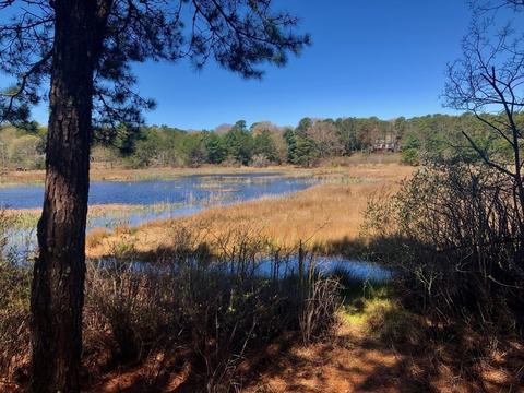 27 Tradewind Dr, Mashpee, MA 02649 photo 32