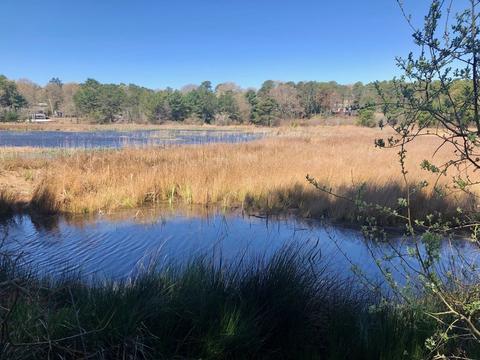 27 Tradewind Dr, Mashpee, MA 02649 photo 31
