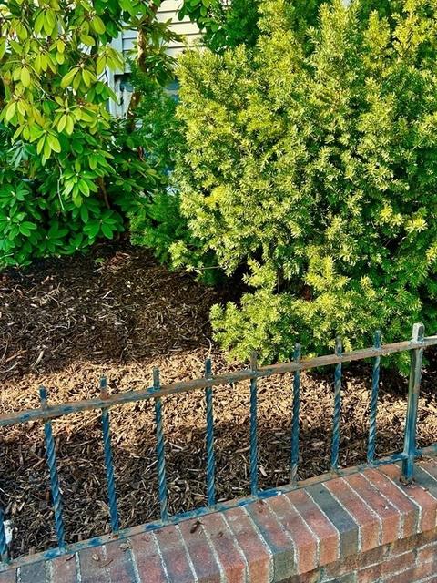 14 Stuart St, Everett, MA 02149 photo 4
