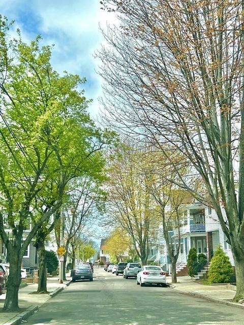 14 Stuart St, Everett, MA 02149 photo 18