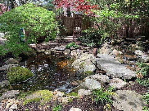 8 Griggs Ter, Brookline, MA 02446 photo 23