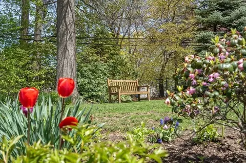 78 Addington Rd, Brookline, MA 02445 photo 3