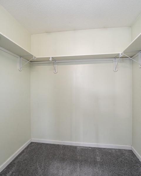 82 Arnold Ave, Springfield, MA 01119 photo 29