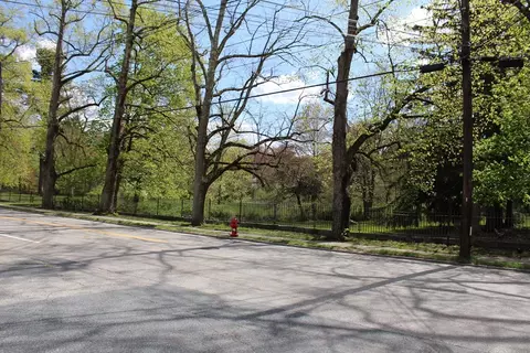30 Fuller Ave, Walpole, MA 02032 photo 28