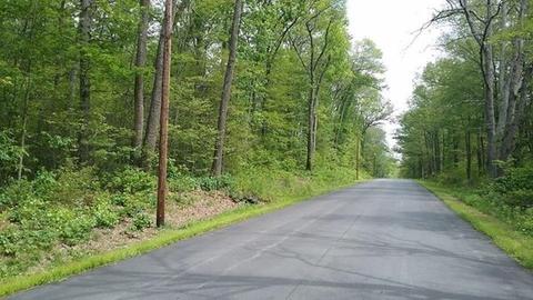 001 Mihaliak Rd, Willington, CT 06279