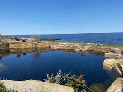 11 Ships Bell Rd, Gloucester, MA 01930 photo 6