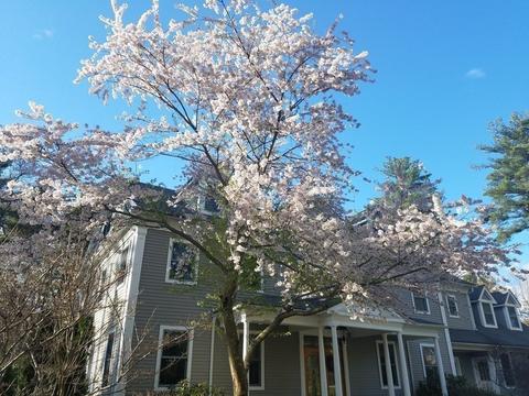 2 Bretton Rd, Dover, MA 02030 photo 38