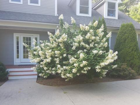 2 Bretton Rd, Dover, MA 02030 photo 37