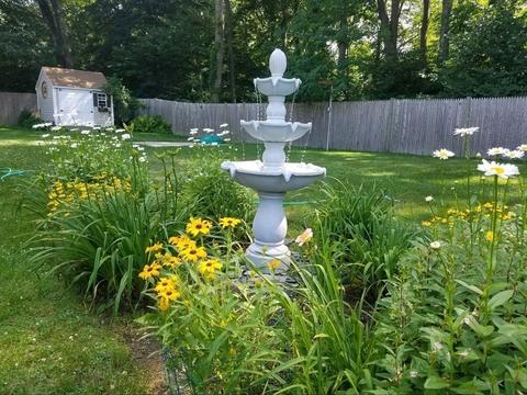 122 Chickering Rd, Dedham, MA 02026 photo 38