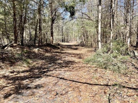 115 Colony Rd, Phillipston, MA 01331 photo 5
