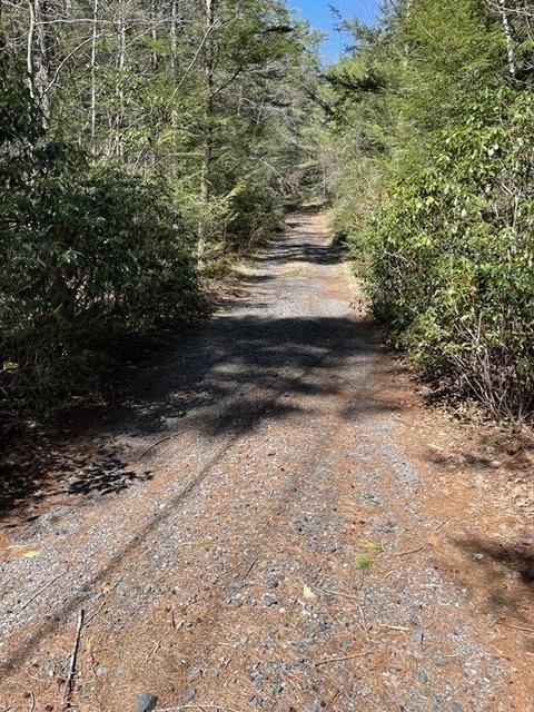 115 Colony Rd, Phillipston, MA 01331 photo 4