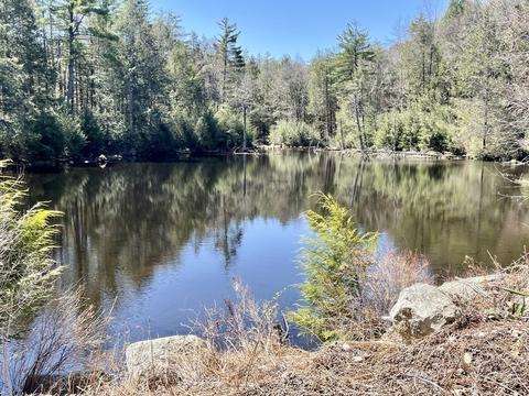 115 Colony Rd, Phillipston, MA 01331 photo 10