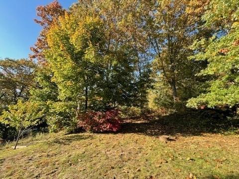 57 Bowker St, Worcester, MA 01604 photo 22