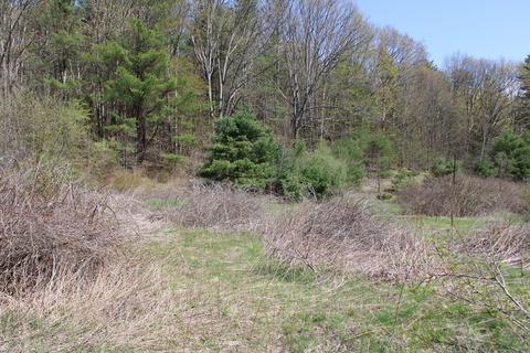25 Old State Rd, Erving, MA 01344 photo 5