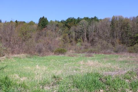 25 Old State Rd, Erving, MA 01344 photo 2