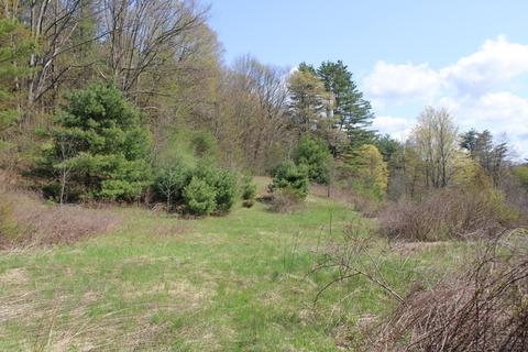 25 Old State Rd, Erving, MA 01344 photo 7