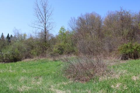 25 Old State Rd, Erving, MA 01344 photo 11