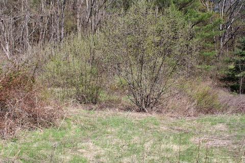 25 Old State Rd, Erving, MA 01344 photo 8