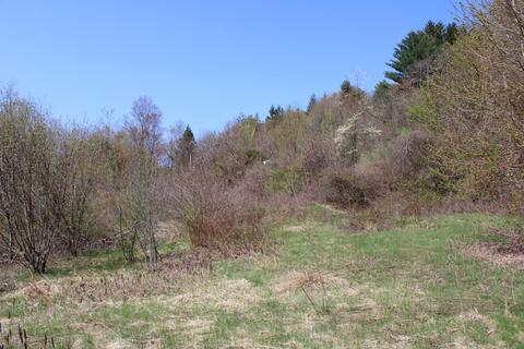 25 Old State Rd, Erving, MA 01344 photo 9