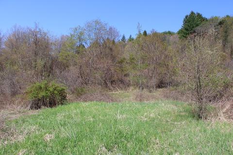 25 Old State Rd, Erving, MA 01344 photo 12