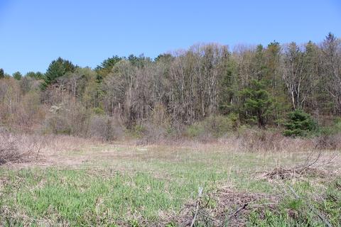 25 Old State Rd, Erving, MA 01344 photo 3