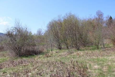25 Old State Rd, Erving, MA 01344 photo 10