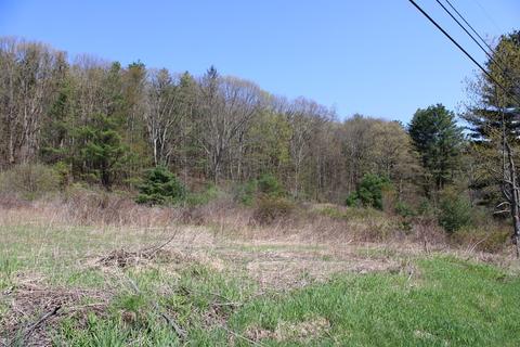 25 Old State Rd, Erving, MA 01344 photo 4