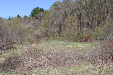25 Old State Rd, Erving, MA 01344 photo 6