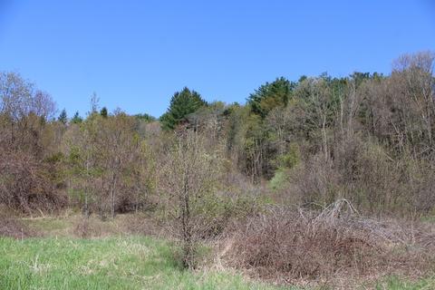25 Old State Rd, Erving, MA 01344 photo 13