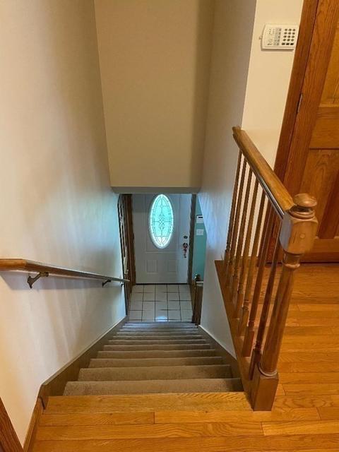 84 Wheeler Ave, Springfield, MA 01118 photo 33
