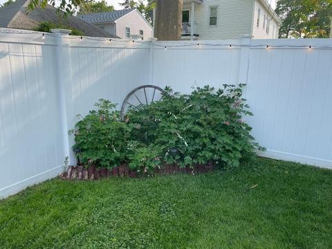 84 Wheeler Ave, Springfield, MA 01118 photo 8