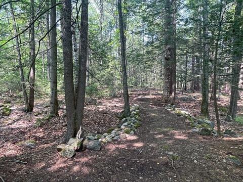 1044 E Guinea Rd, Conway, MA 01341 photo 33