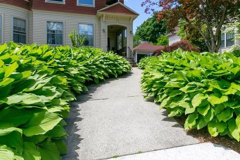 21 Beeching St #2, Worcester, MA 01602 photo 4