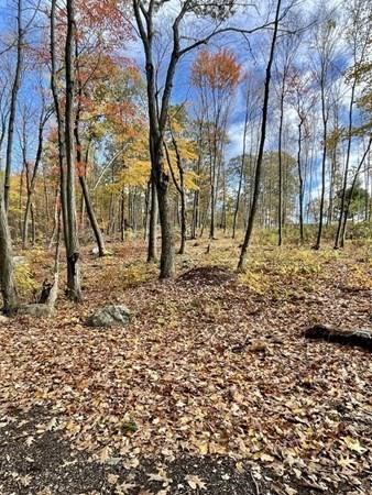 580 Ridge Rd, Wilbraham, MA 01095