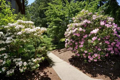 1000 Centre St #2, Jamaica Plain, MA 02130 photo 36