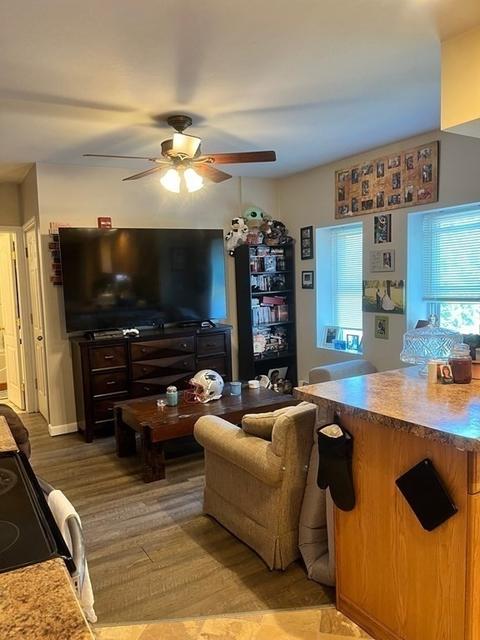 5 Zoar Ave, Chicopee, MA 01020 photo 27