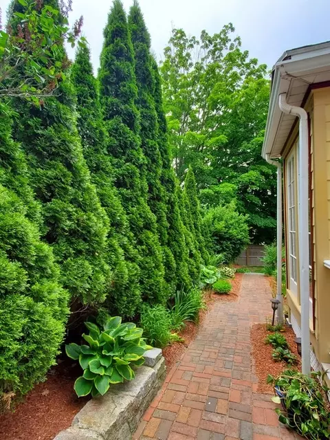 5 Whiting Ave, Dedham, MA 02026 photo 6