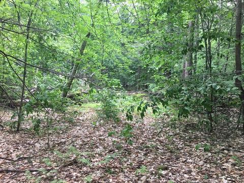 4 Bissell Road, Chesterfield, MA 01012