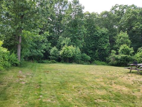 946 Bradley Rd, Springfield, MA 01109 photo 3