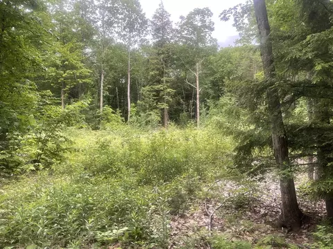 58 Sir Walter Rd, Becket, MA 01223 photo 5