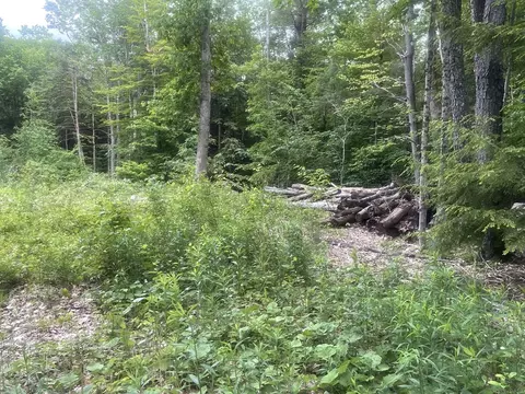 58 Sir Walter Rd, Becket, MA 01223 photo 6