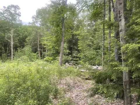 58 Sir Walter Rd, Becket, MA 01223 photo 3