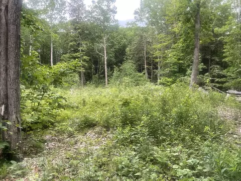 58 Sir Walter Rd, Becket, MA 01223 photo 4