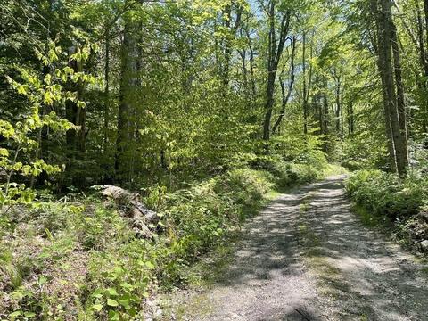 0 Pierce, Peru, MA 01235
