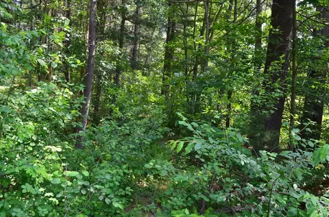 269 S Walpole, Sharon, MA 02067
