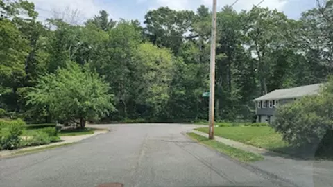 25 Ridley Rd, Dedham, MA 02026 photo 15